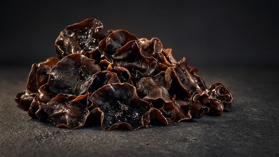 Wood Ear · Auricularia auricula-judae